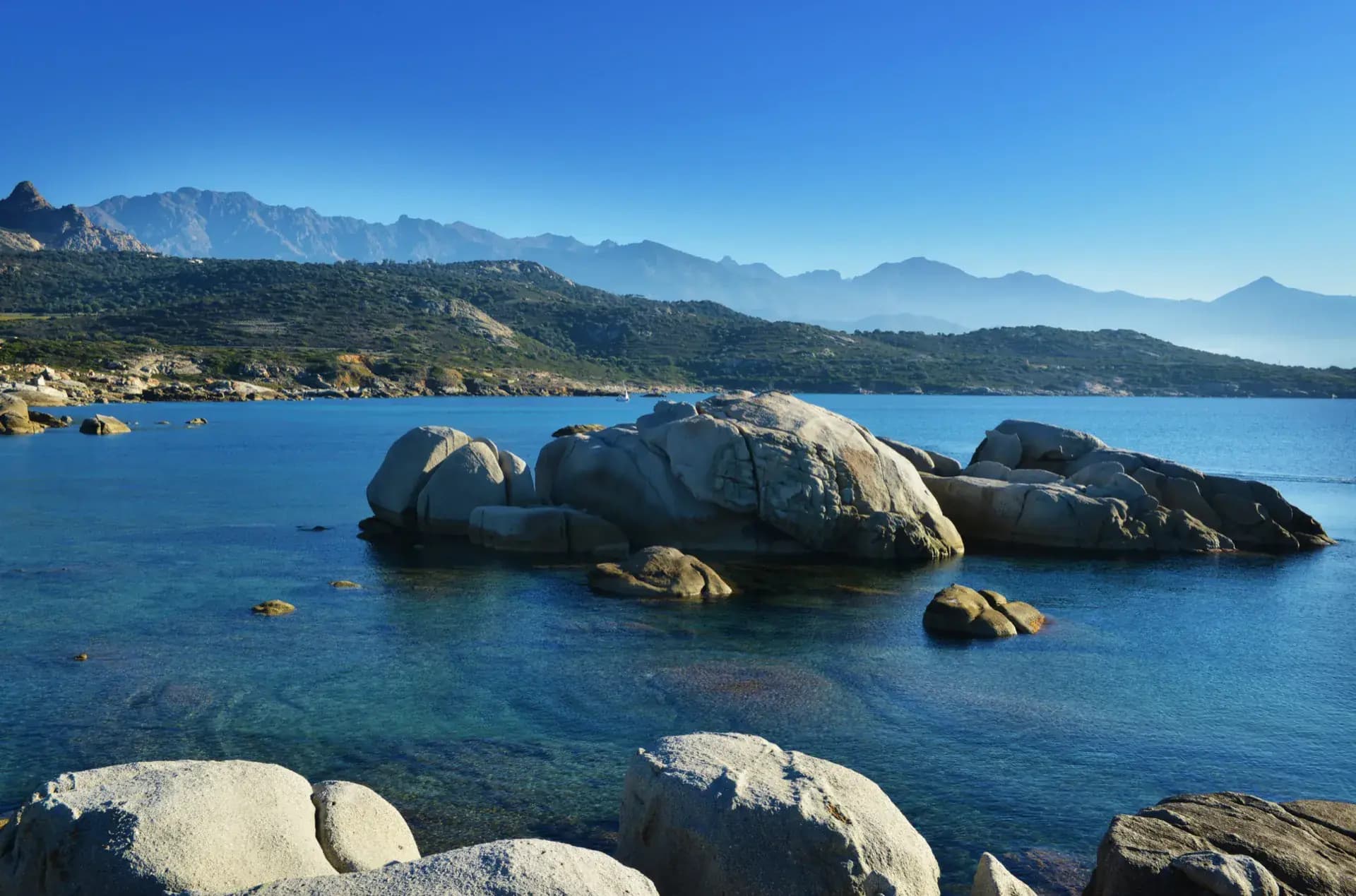 Figari