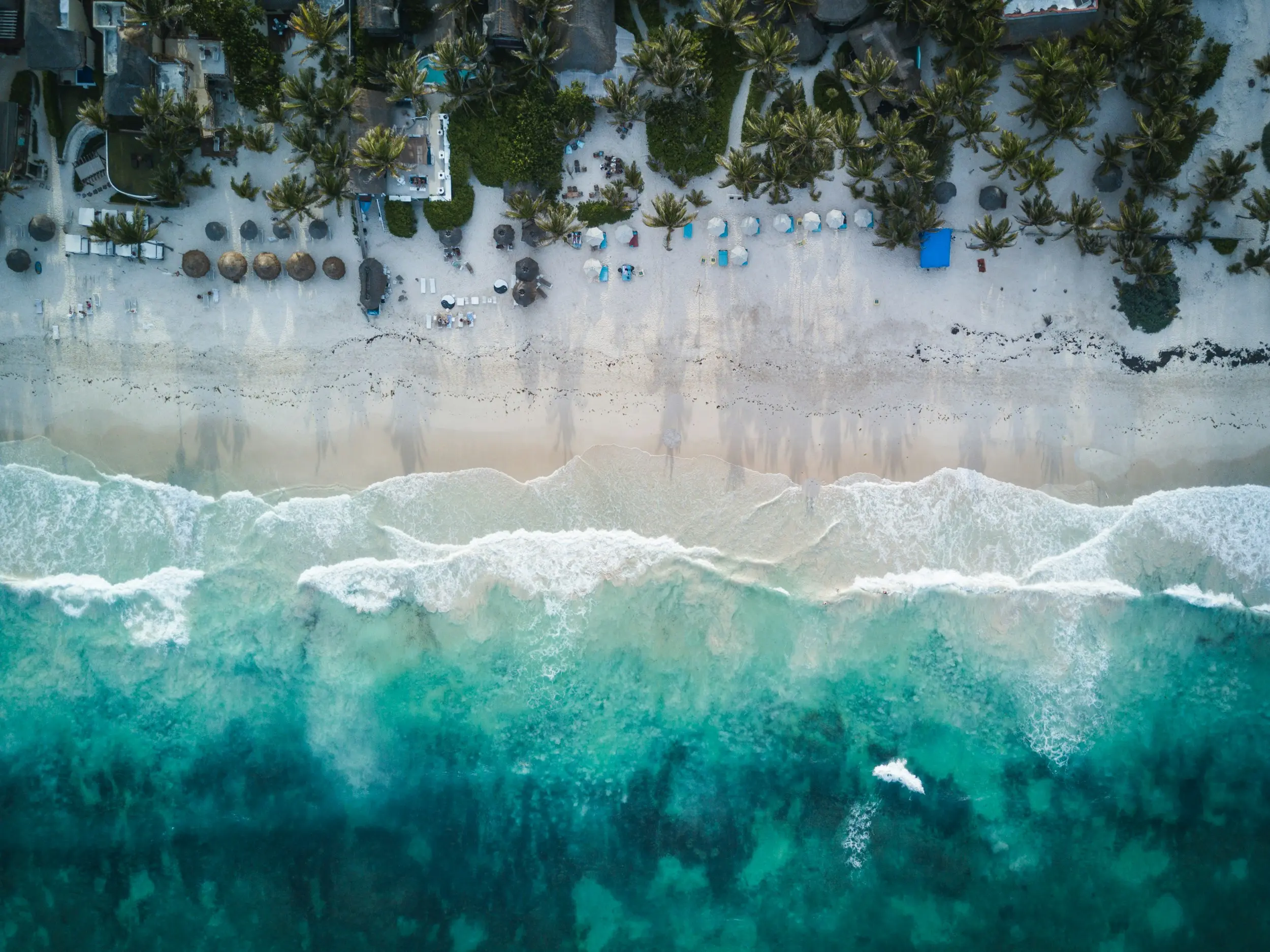 Background image for theme beach || "default"}